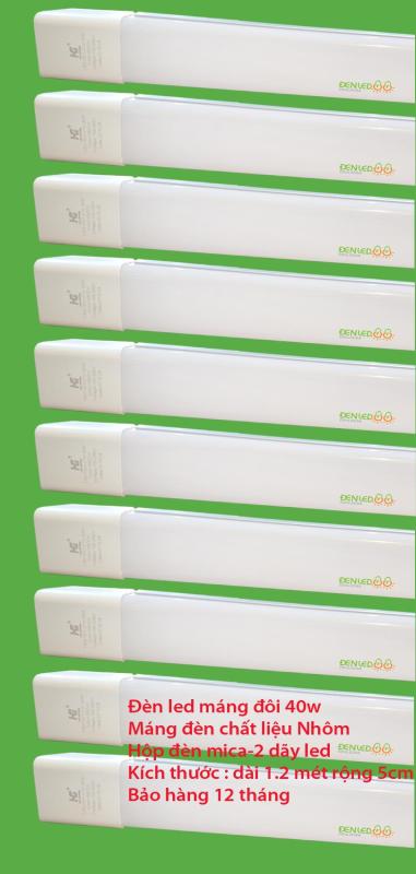 Bộ 10 đèn led tuyp máng đôi mica 40w -1.2 mét