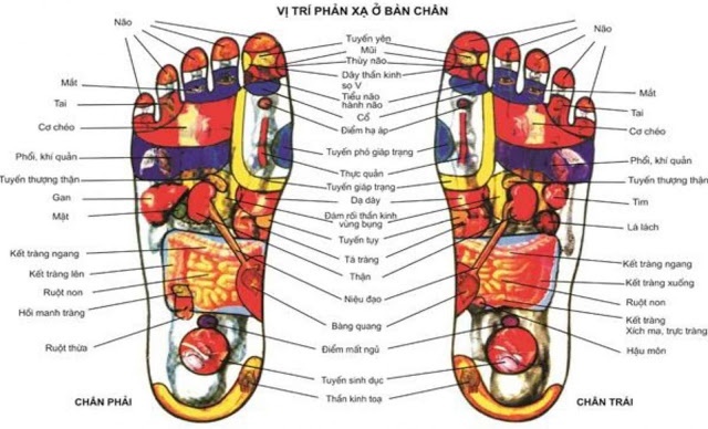 Đèn đá muối 19