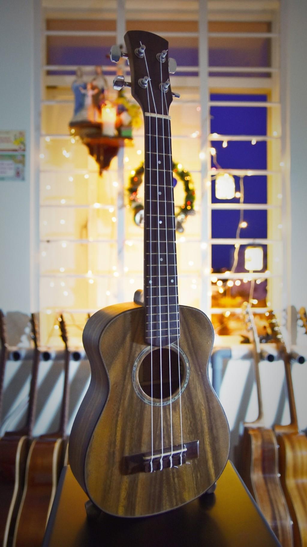 Đàn ukulele concert full gỗ điệp vn size 23 tặng bao + hộp carton + phím gẩy + dây dự phòng + sách hướng dẫn