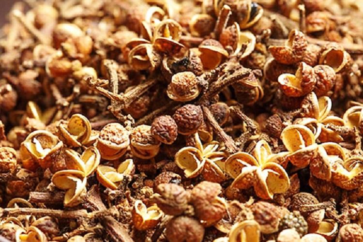 Mắc khén rừng Tây Bắc 500g khô