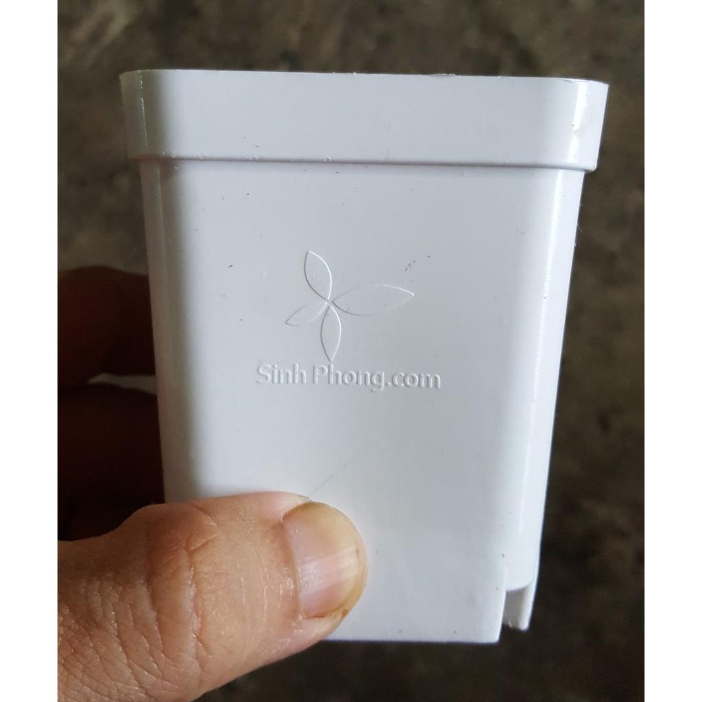 Chậu Vuông 7X7 Trắng - Sản phẩm chất lượng - gian hàng uy tín - giá luôn tốt - mua ngay kẻo lỡ !