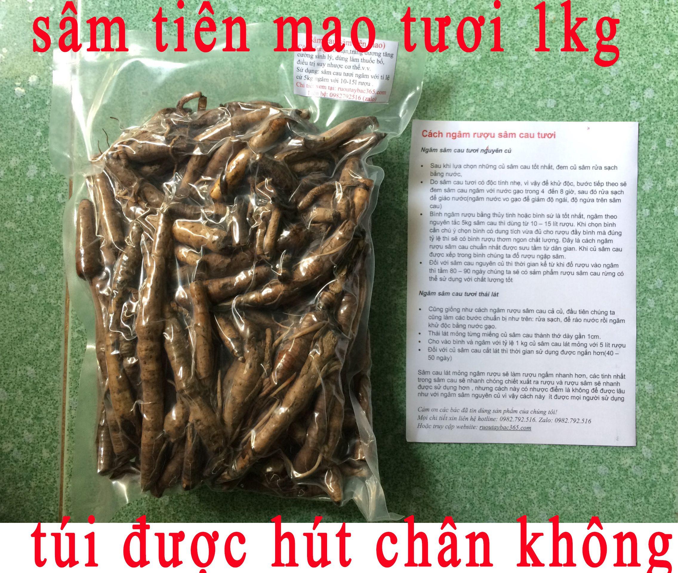 sâm cau chuẩn (sâm tiên mao) hàng tươi gói 1kg