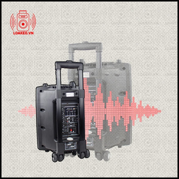 loa kéo temeisheng dp-131