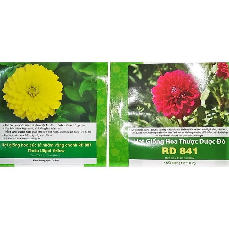 Combo 2 gói hạt giống : Cúc lá nhám vàng chanh Hoa thược dược đỏ nhung.