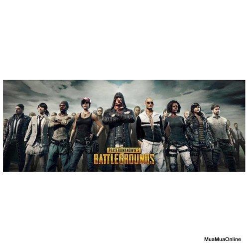 Miếng lót chuột và bàn phím chơi game s6 800x300x3mm