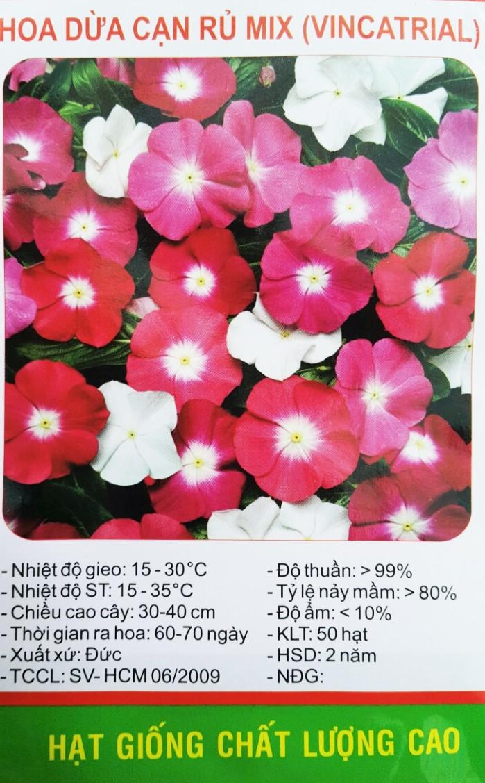 [HCM] Hạt Giống Hoa Dừa Cạn Rủ  Nhiều Màu   - KLT 50 hạt