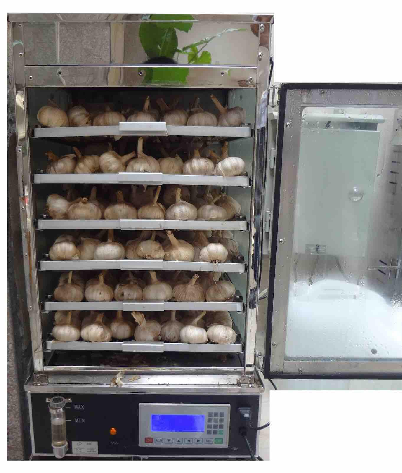 1kg Tỏi Đen Nhiều Nhánh