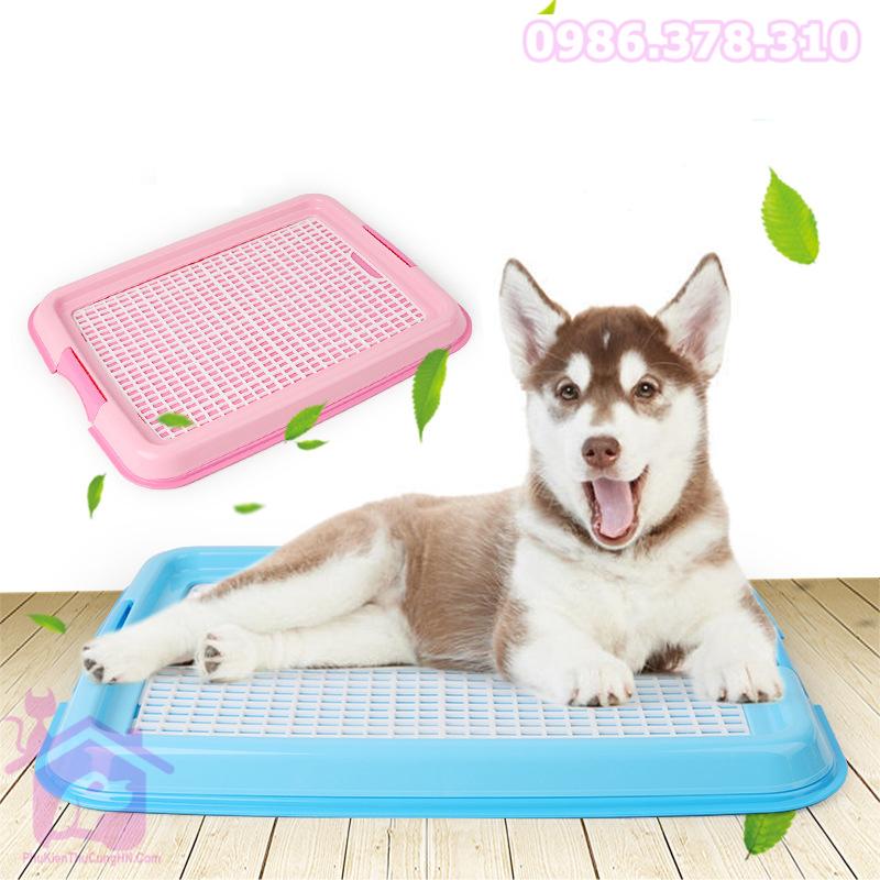 Khay vệ sinh cho chó - phụ kiện thú cưng