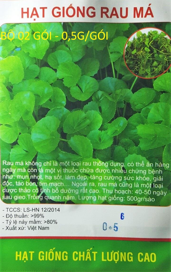 [HCM]Bộ 02 gói  hạt giống Rau Má  SV   -KLT 0.5 gram .