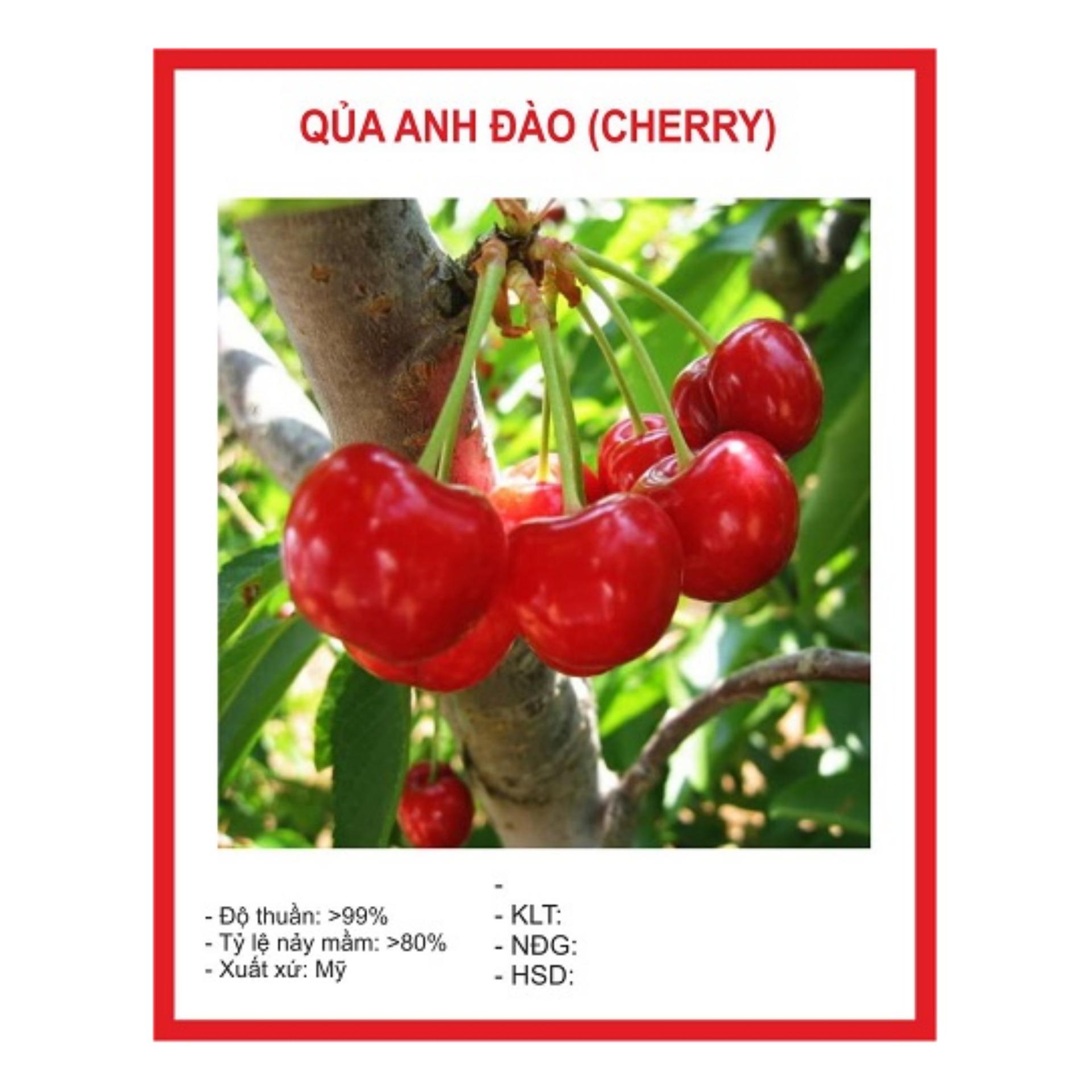 Hạt giống Cherry (Anh đào) (Lucky)