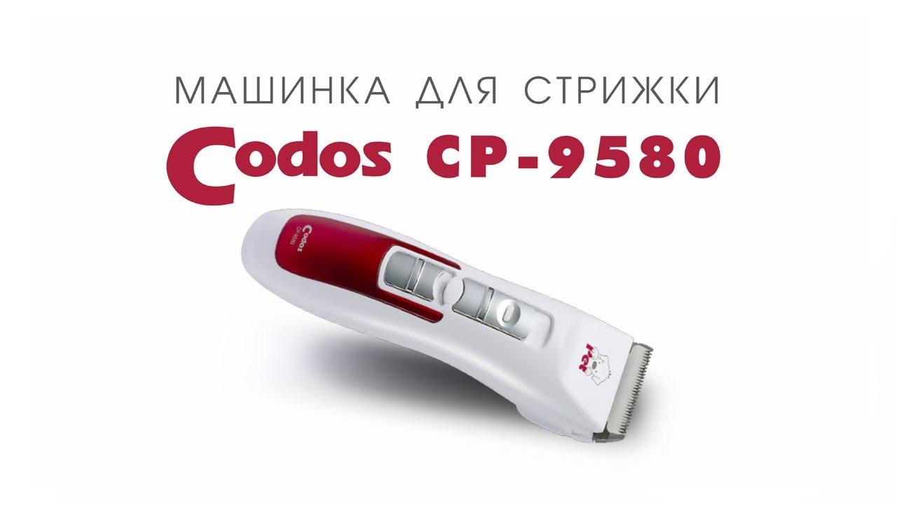 Kết quả hình ảnh cho codos cp9580