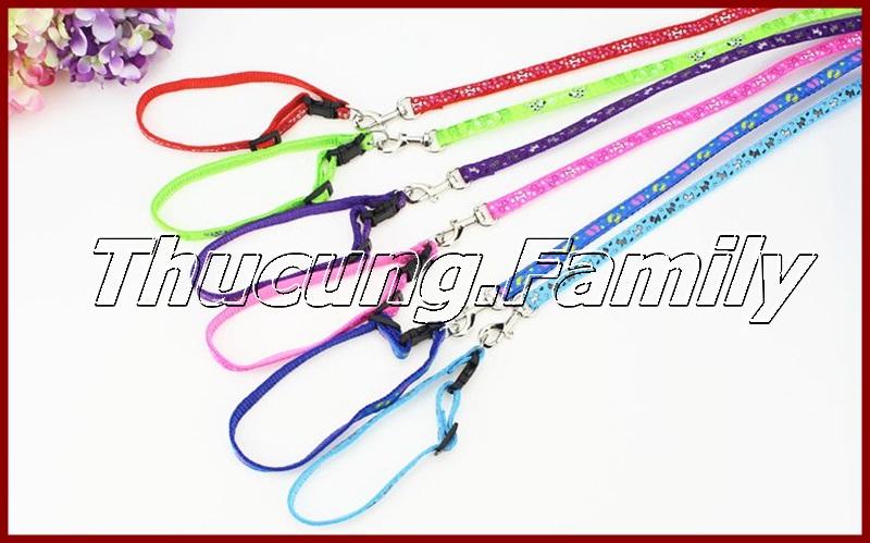 Dây dắt- Vòng cổ có chuông. Họa tiết nhiều màu sắc cho CHÓ- MÈO dưới 4kg.