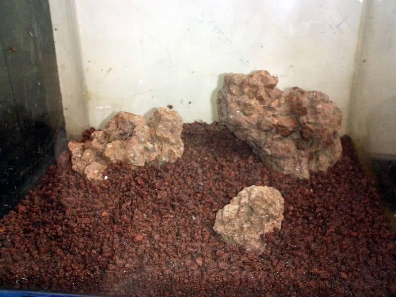 2kg Nham thạch nhỏ trải nền bể thủy sinh bể cá cảnh ( thể tích khoảng 1,5 lít )