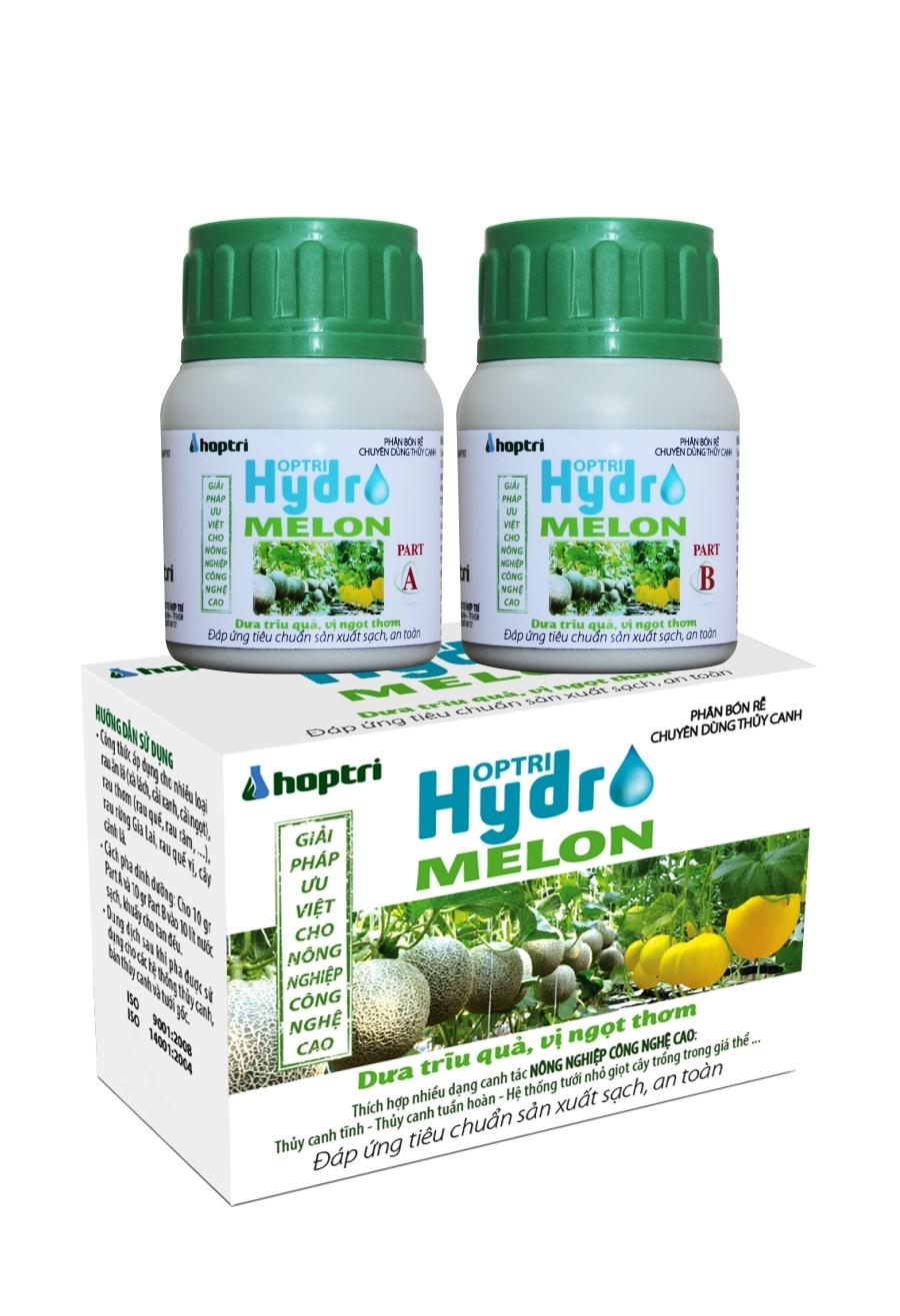 Dinh dưỡng thủy canh dưa lưới - hydro melon