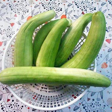 [Lấy mã giảm thêm 30%] Hạt giống Dưa Gang Xanh (10 hạt)