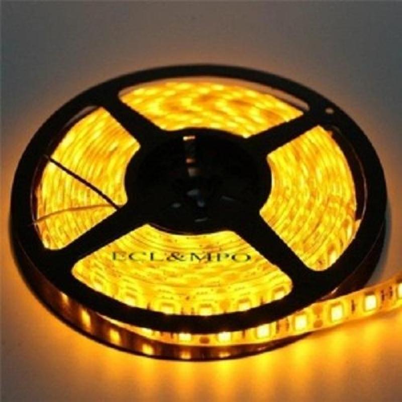 Cuộn Led dây dán 5m 3528 có keo đơn