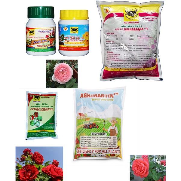 Trọn bộ chăm sóc cây hoa hồng VER.1
