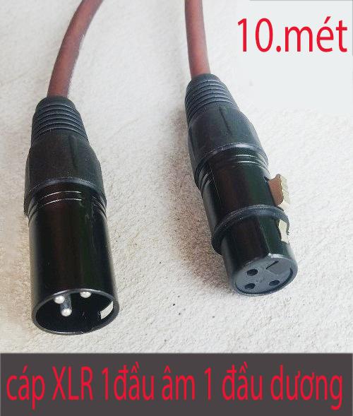 Dây cáp cannon xlr 1 đầu âm 1 đầu dương 10 mét