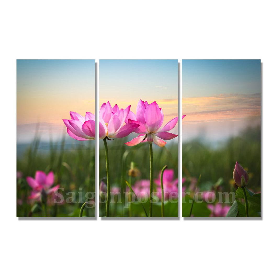 Tranh bộ Saigonposter Sen Hồng D120A