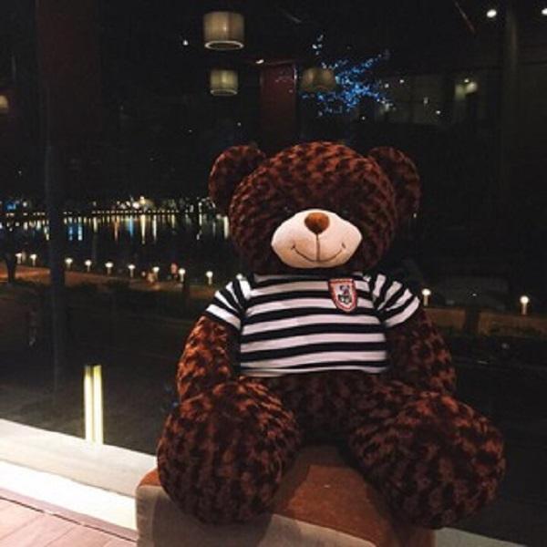 Gấu Bông Teddy Khổ vải 1m2