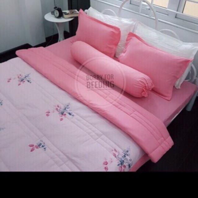 Chăn đũi thu đông cao cấp 2x2.3m