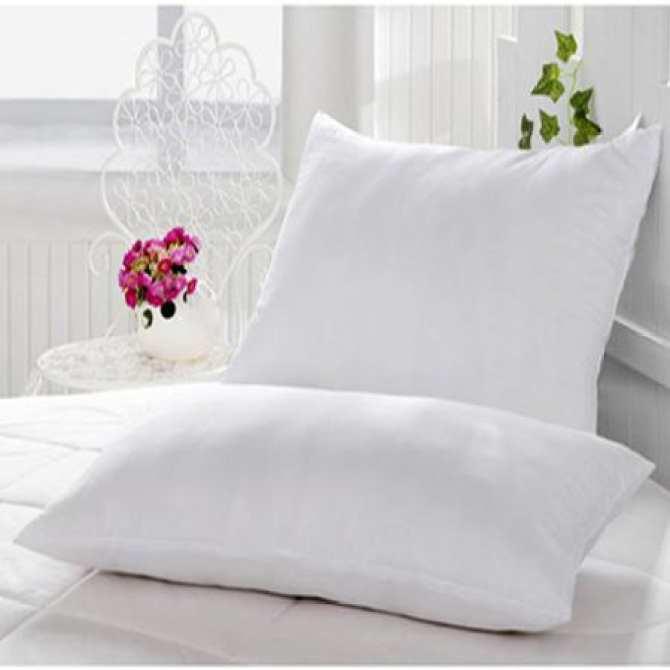 Combo cặp gối nằm 50*70cm + 1 gối ôm hơi cao cấp