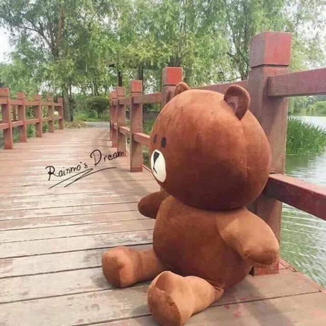 Gấu bông brown cực đại khổ vải 1m5