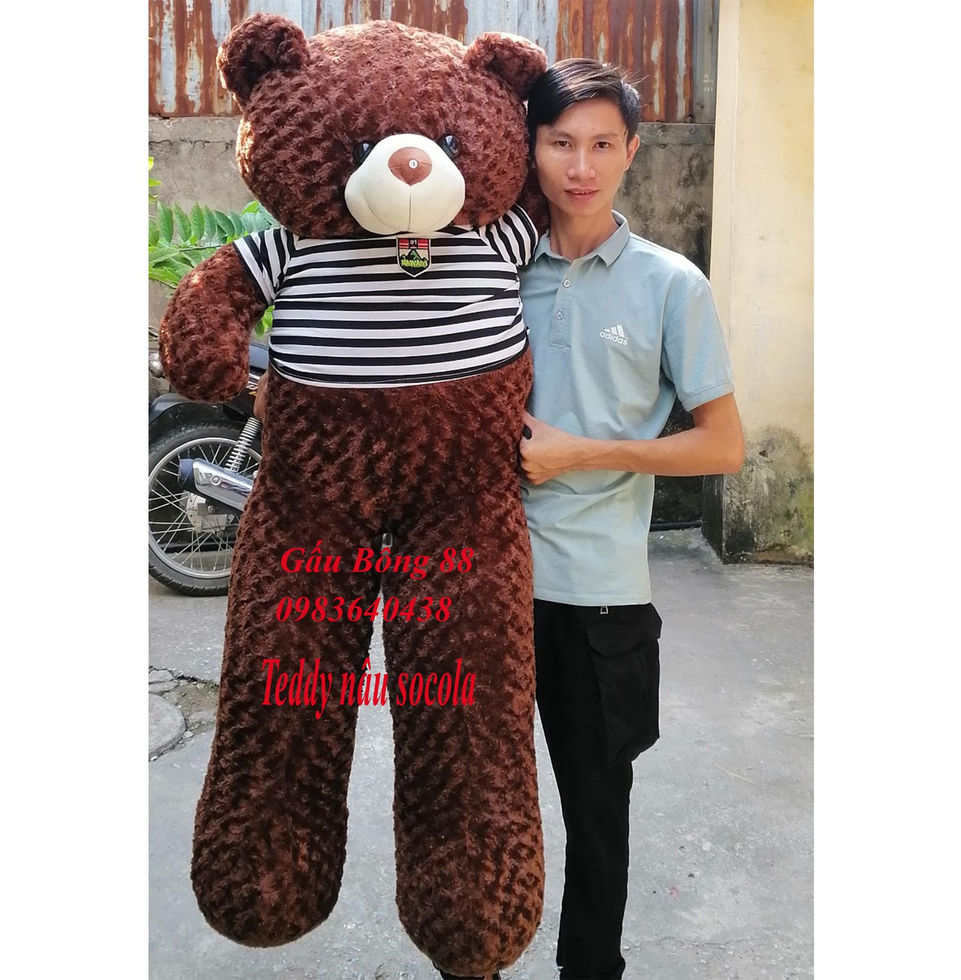 Gấu bông teddy khổ vải 1m8 chiều cao 1m6 cực đẹp