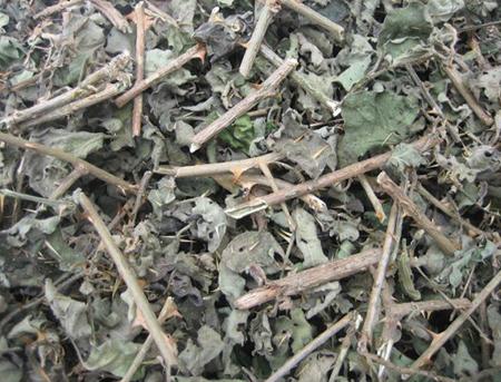 Cà gai leo - Giải độc bảo vệ GAN 1kg khô loại 1