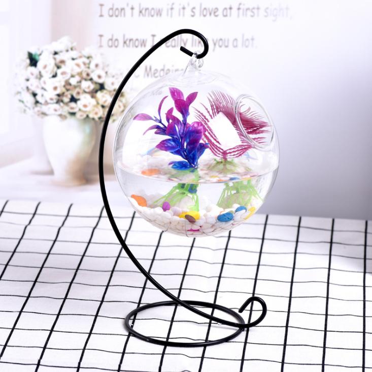 Bể cá mini để bàn giá treo chữ C