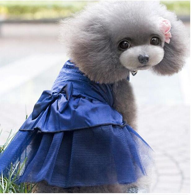áo chó mèo cao cấp kiểu váy cưới xanh size xl ( dành cho chó mèo 5 - 8 kg )6