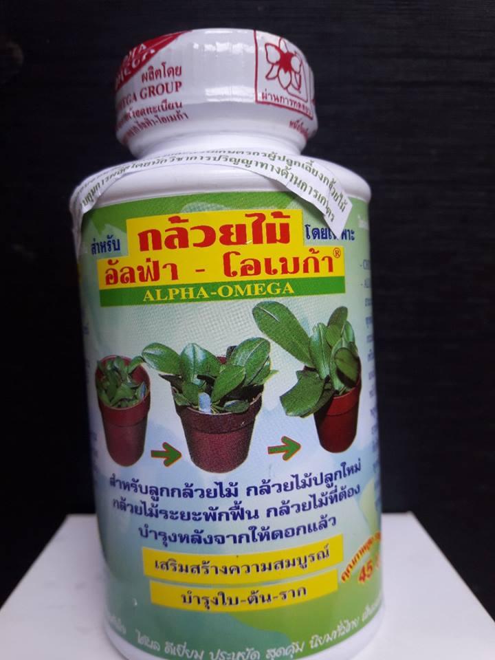 Kích kie thái Thái