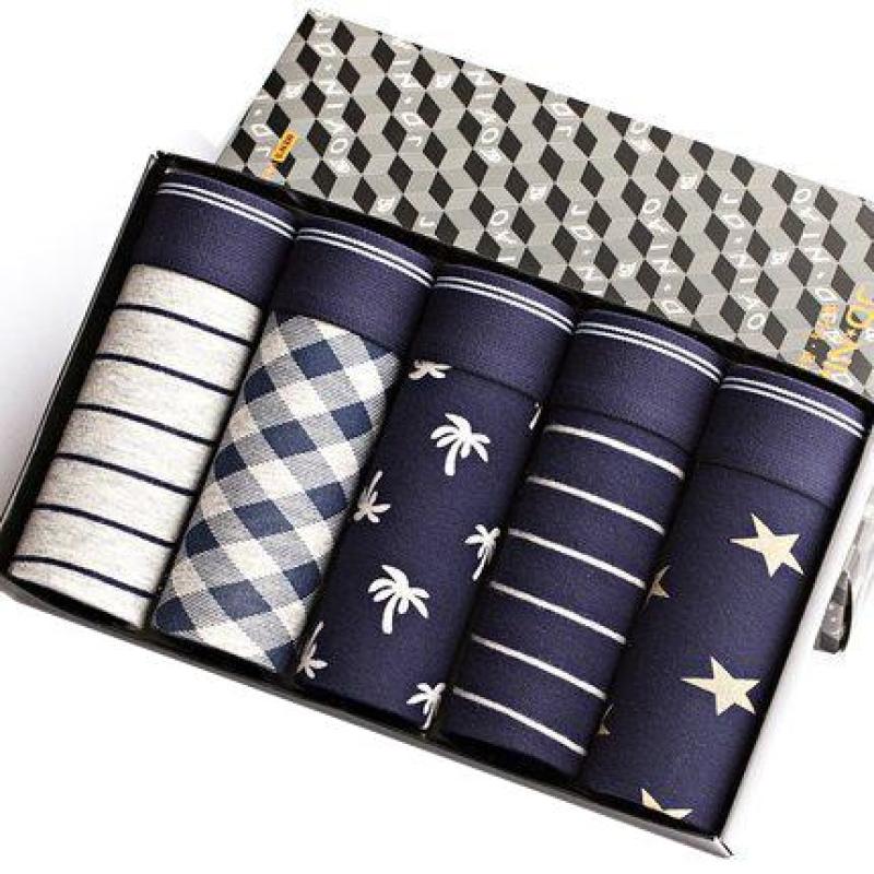 Nơi bán Hộp 5 quần sịp đùi boxer nam SQS101, quần boxer nam, sịp đùi, hộp quần sịp, bộ 5 quần sịp