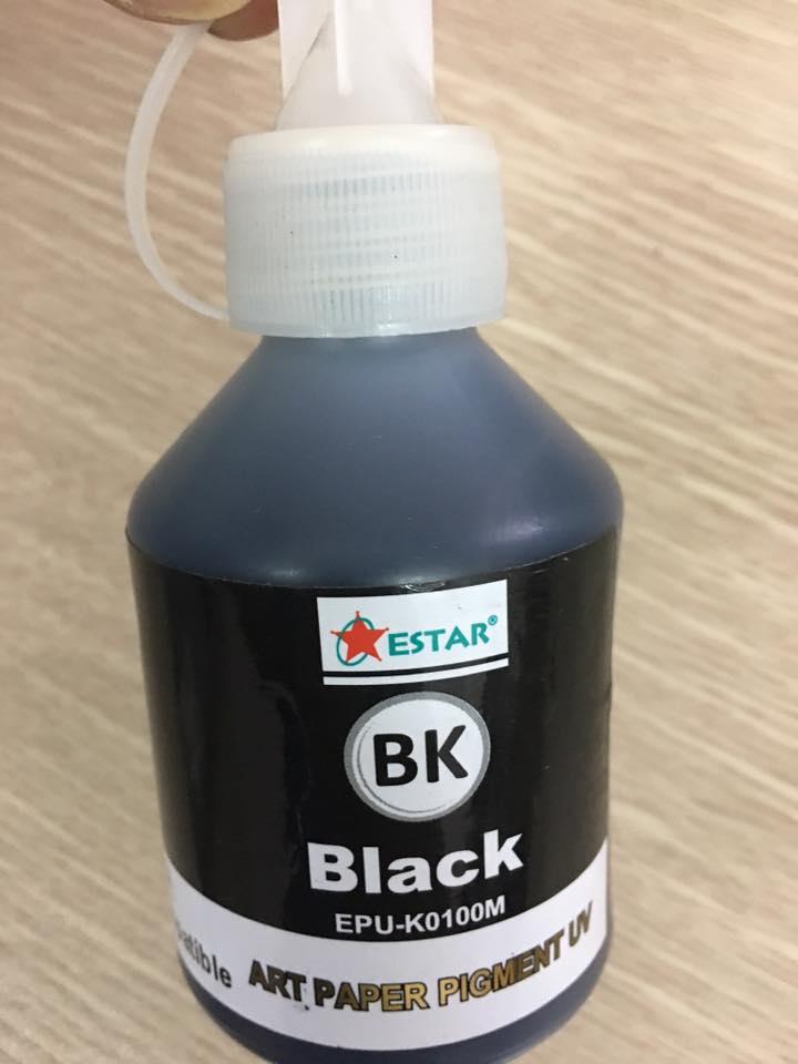 Mực BK Pigment UV cho Epson T50-T60-L800-L805  mầu Đen100ML không phai