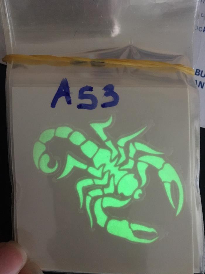 [HCM]Combo 6 tấm hình xăm dạ quang bò cạp A53 6×6