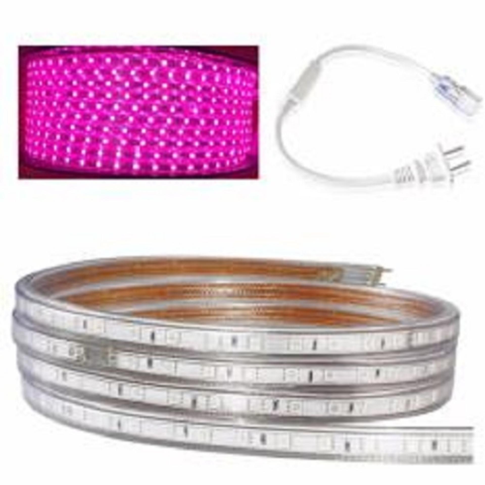 Đèn LED dây 4040 5M ống nhựa 220v tặng kèm 1 dây nguồn trang trí decor phòng ngủ