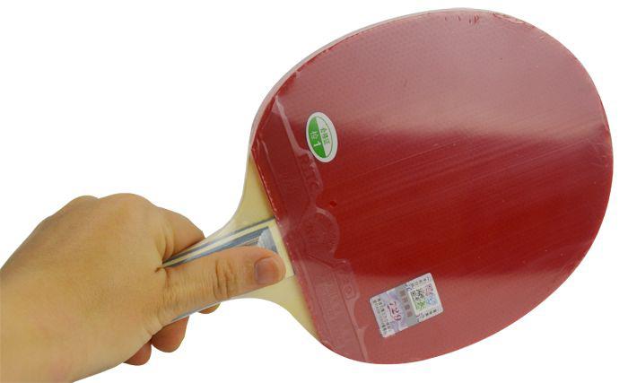 vot-bong-ban-729-1060-New-luyen-tap.jpg