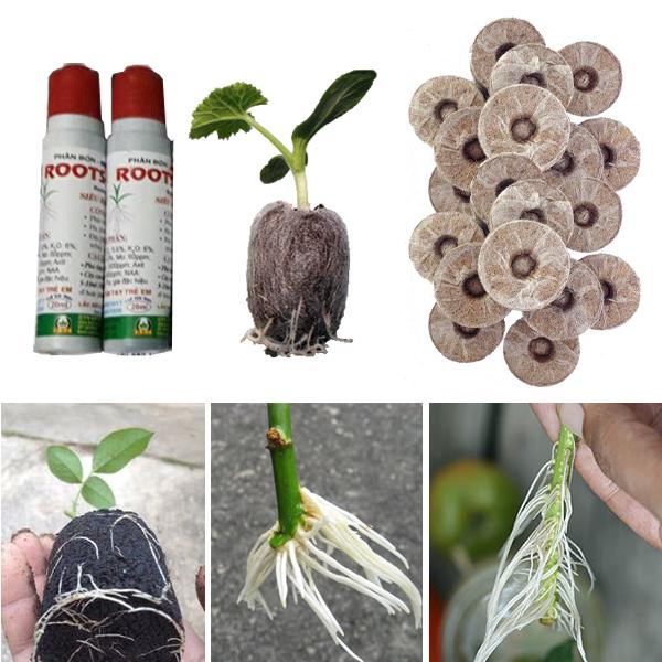 Bộ 40 viên nén ươm hạt + 2 Siêu ra rễ Cực mạnh