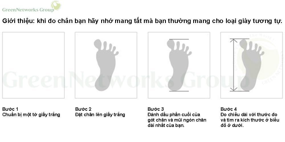 size3.jpg