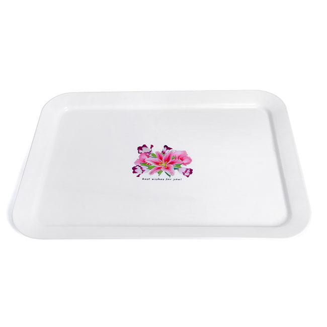 Mâm nhựa cao cấp Prota