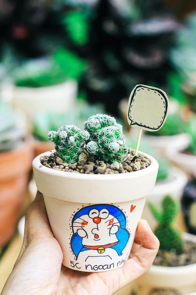 Chậu trắng trung kèm cây xương rồng tuyết hình Doraemon xinh xắn