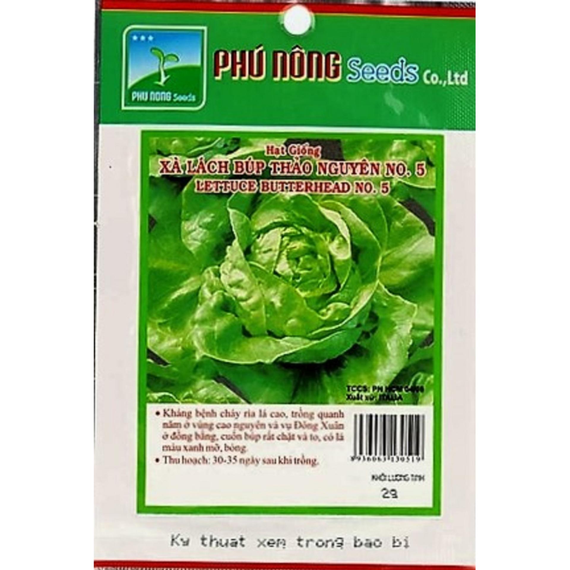 [HCM]Hạt giống xà lách búp thảo nguyên PN - 2g