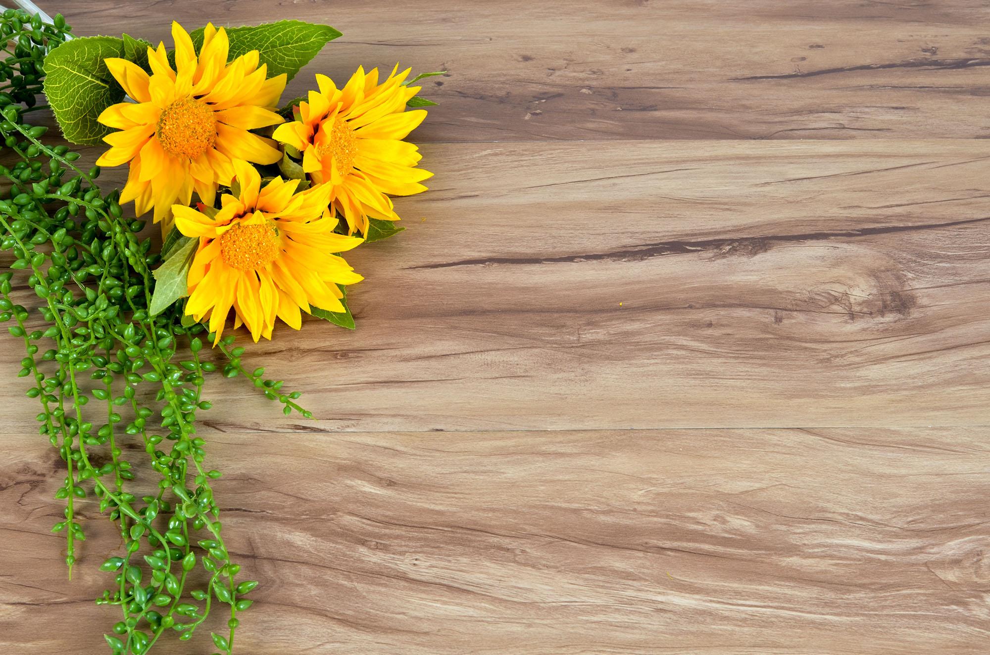 [HCM]Phông nền chụp hình 3D (mẫu hoa hướng dương) size 50cmx75cm