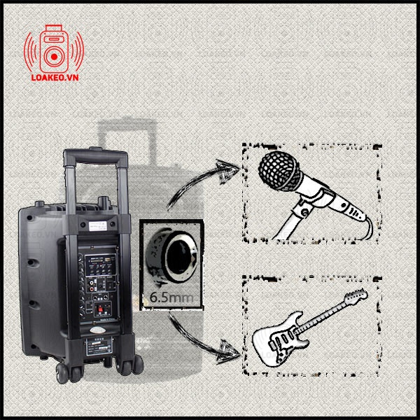 loa kéo temeisheng dp-131