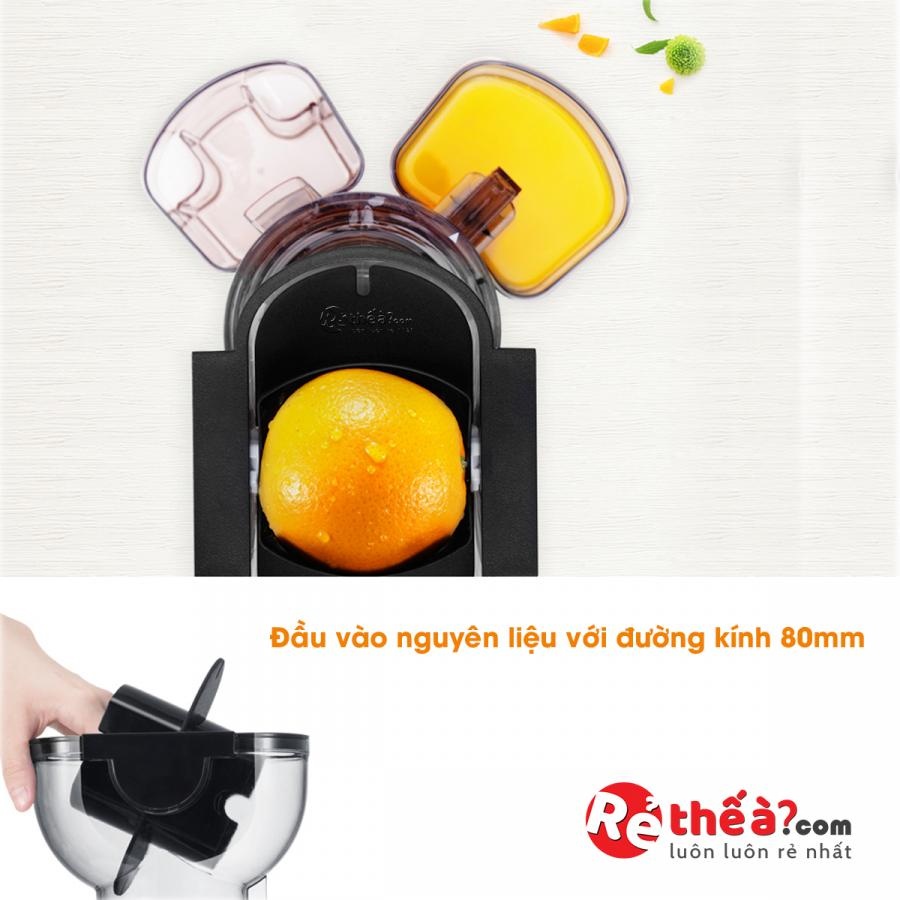 Máy ép chậm Savtm JE31 - ảnh 6