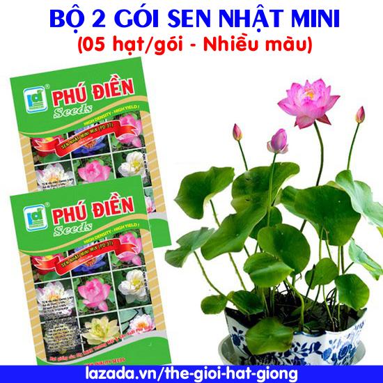Bộ 2 gói hạt giống Sen nhật mini (5 hạt/gói)