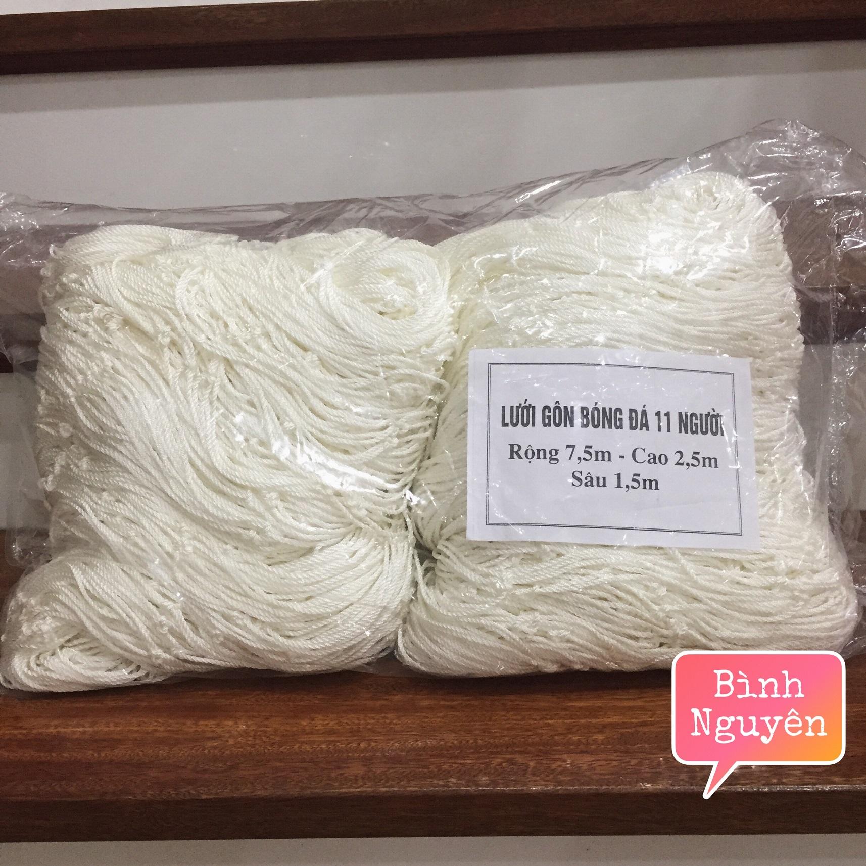 Lưới gôn bóng đá lưới goal 11 người - dù bền đẹp, 2 lưới
