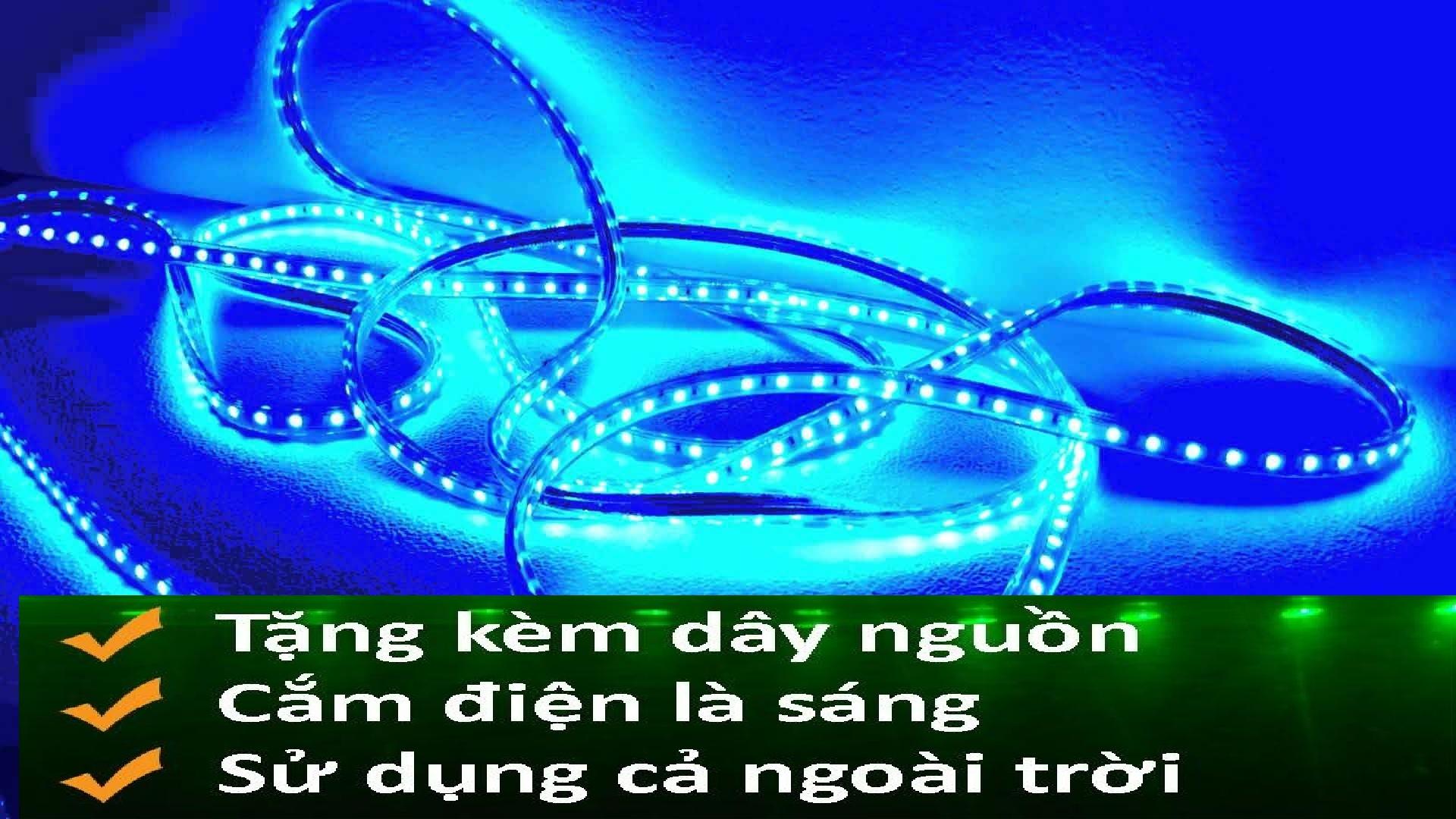 Đèn LED dây 4040 10M ống nhựa 220v tặng kèm 1 dây nguồn tốt