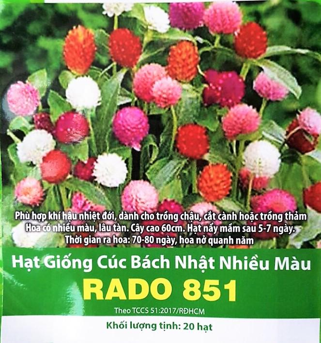 [HCM]Giống Hoa Cúc Bách Nhật Nhiều Màu  Hàn Lan _ gói 20 hạt  .