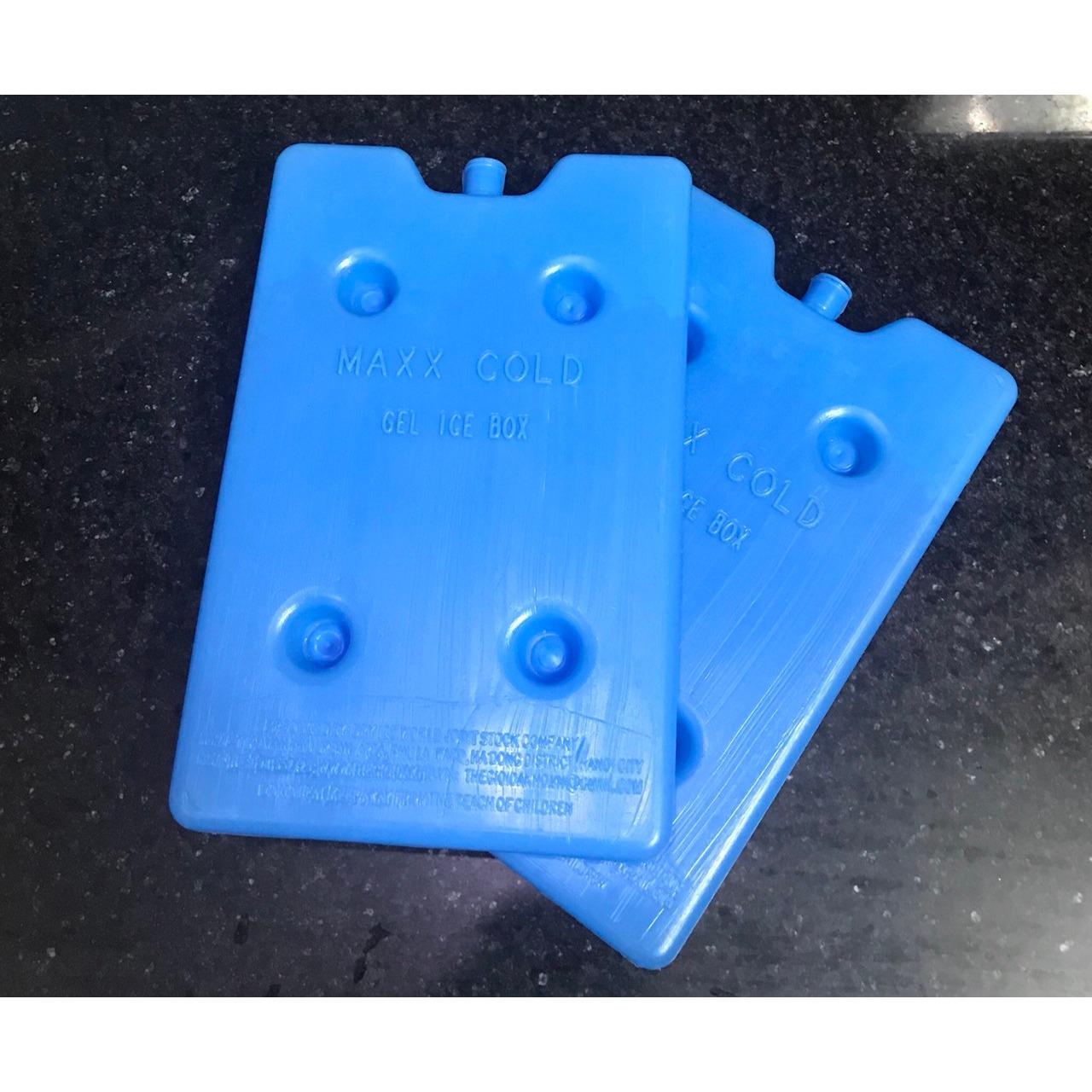 Combo 2 thanh đá khô phẳng giữ lạnh 19.5 x 12.5 x 2.5 (cm)